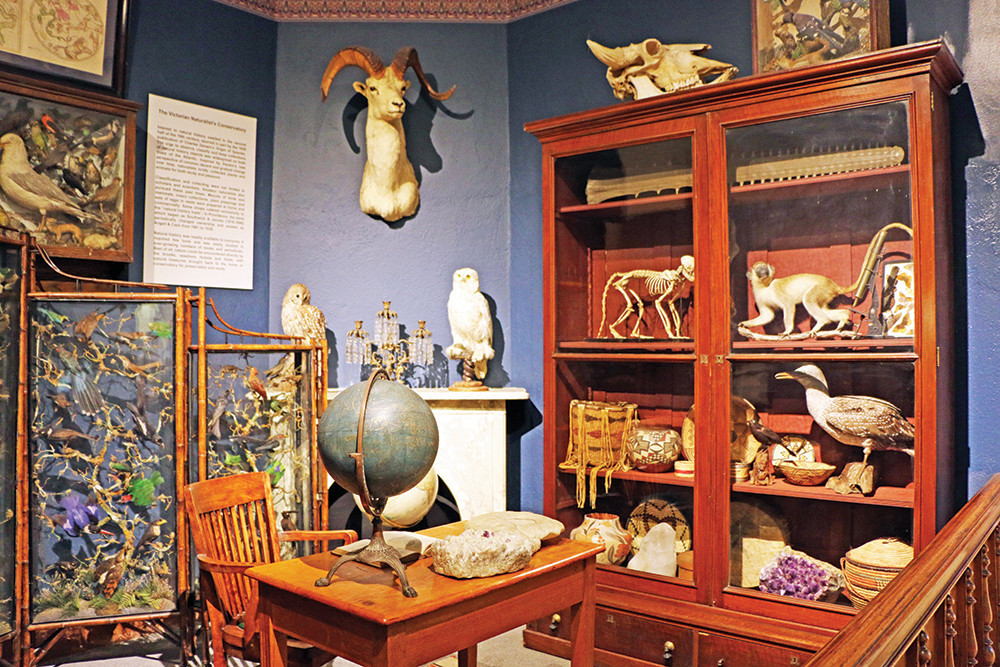 Explore the mysteries of the Museum of Natural History in Roger Williams Park