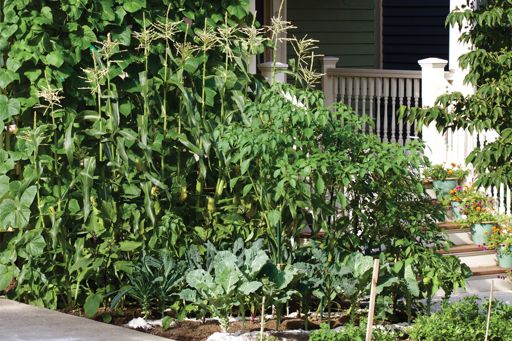 Stewart Martin of GardenWorks has his own East side garden