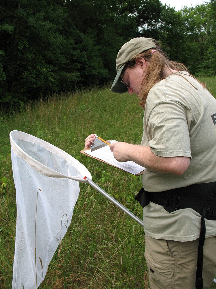 Volunteers are keeping their eyes peeled for butterflies this month