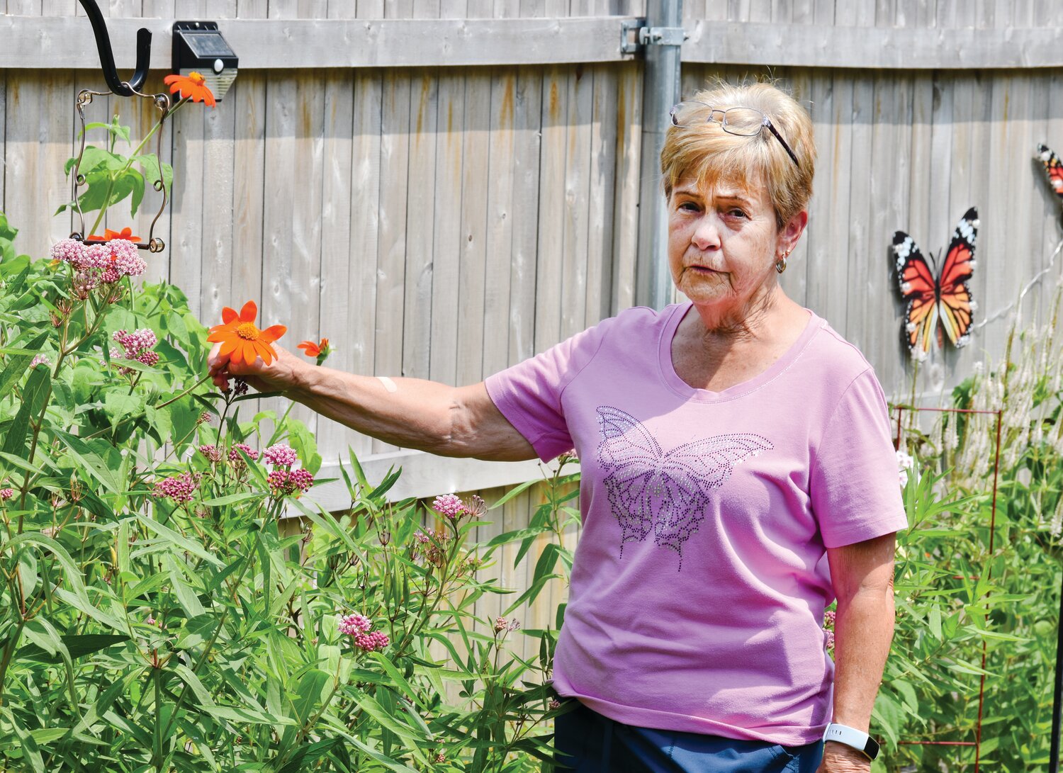 SHE CALLS THEM ‘FLYING FLOWERS”:  Amy Ottilige has been raising butterflies since 2014, planting milkweed and perennials in her garden to support them.